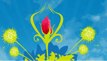Misc design